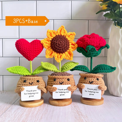 Mini crochet pots – heart and rose set on wooden bases